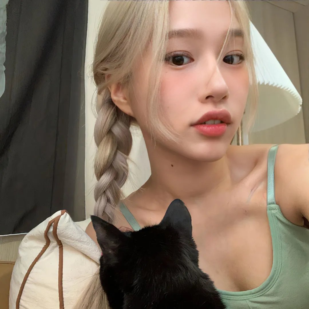 沈总你养的金丝雀变凤凰了