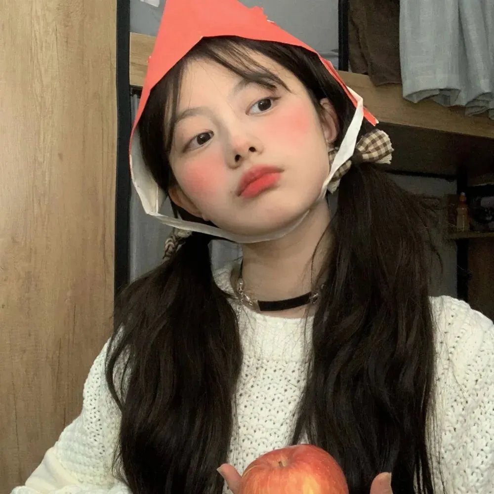 美国谍梦第五季